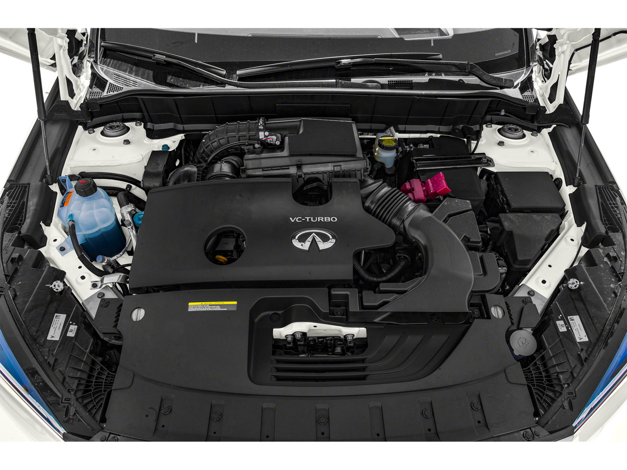 2022 INFINITI QX50 AUTOGRAPH