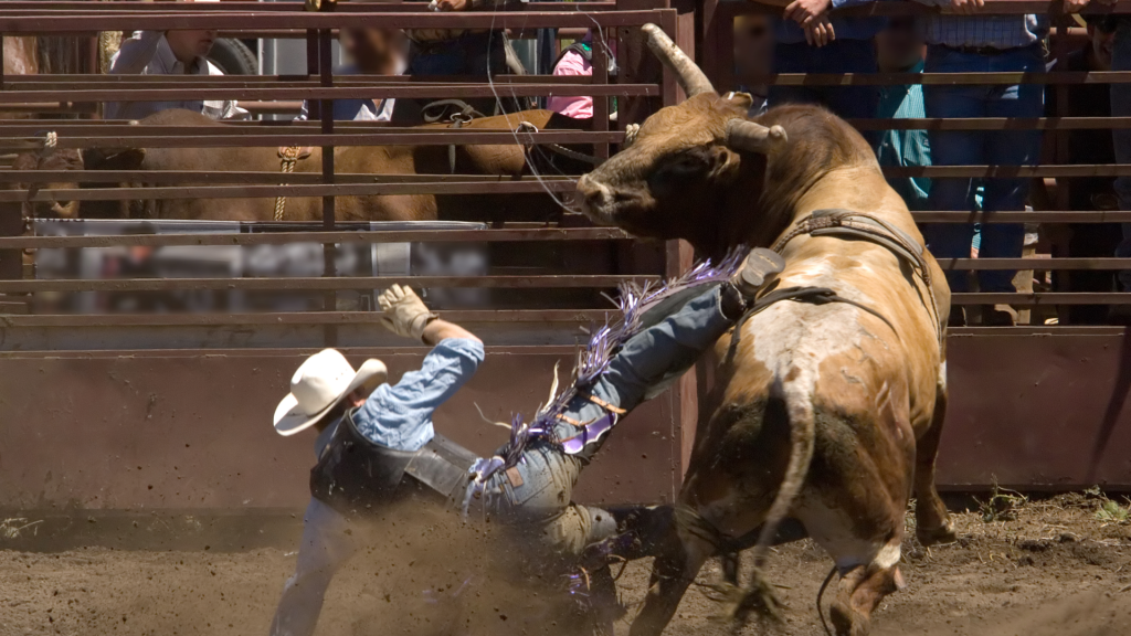 summer events in Midland Texas