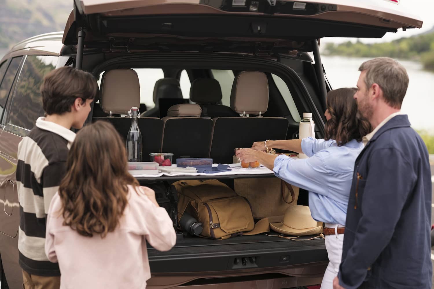 Lincoln Navigator Rear Cargo View at Midland, Texas