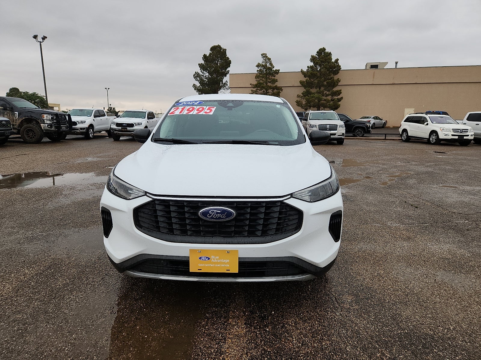 2024 Ford Escape Active